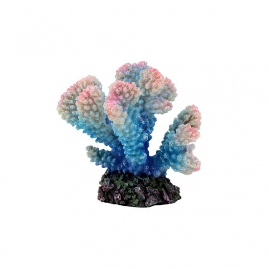 Picture of Aqua Natura Dekoracja akwarystyczna Koralowiec niebieski 10cm