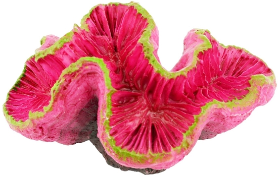 Picture of Aqua Natura Dekoracja akwarystyczna ukwia fuksjowy 9cm