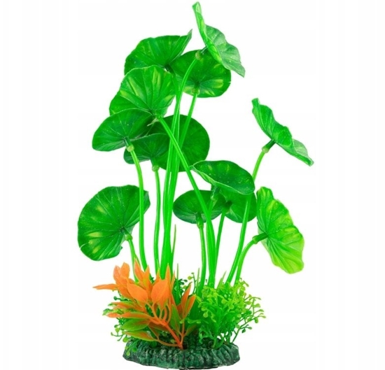 Picture of Aqua Natura,  rolina, do dekoracji akwarium, zielona, plastikowa, 15-20cm, czerowny akcent