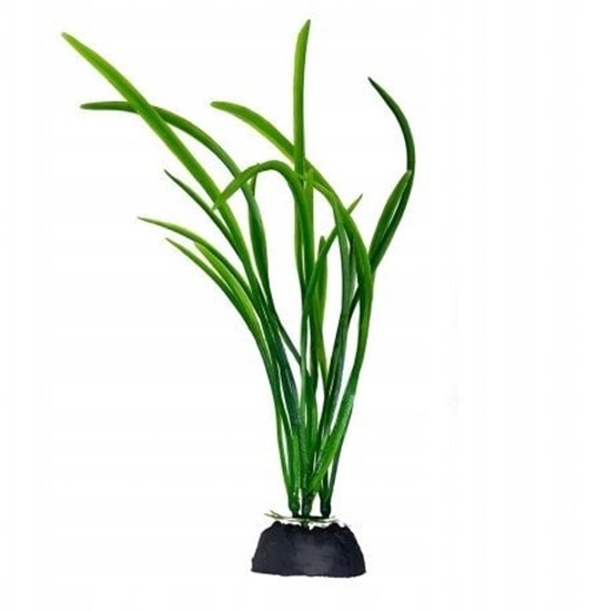 Изображение Aqua Natura,  rolina, do dekoracji akwarium, zielona, plastikowa, 18 cm , trawa paskowa