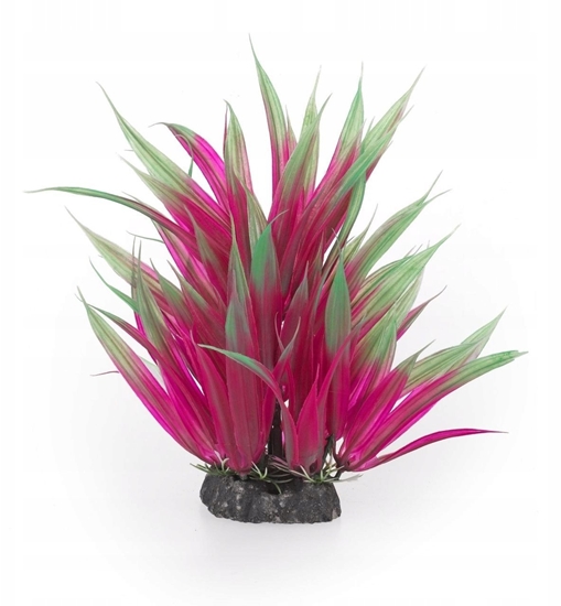 Изображение Aqua Natura,  rolina, do dekoracji akwarium,  ciemnoróowa , plastikowa, 20 cm , trawa