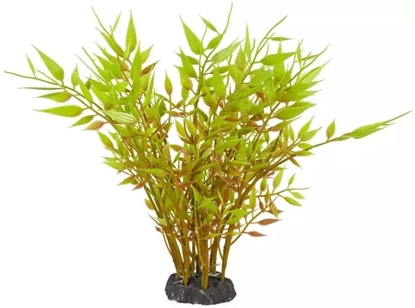 Изображение Aqua Natura,  rolina, do dekoracji akwarium,  zielona , plastikowa, 20 cm , brzowe gaezie