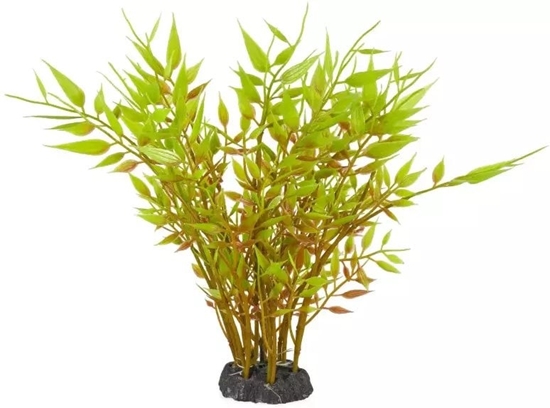 Изображение Aqua Natura,  rolina, do dekoracji akwarium,  zielona , plastikowa, 20 cm , brzowe gaezie