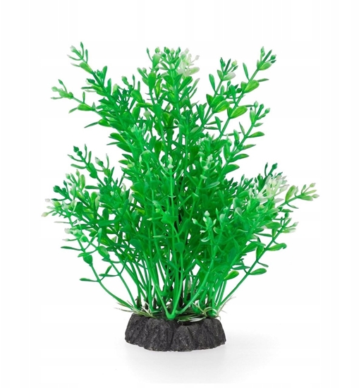 Picture of Aqua Natura,  rolina, do dekoracji akwarium,  zielona , plastikowa, 20 cm , drobnolistna
