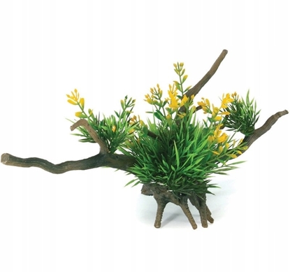 Picture of Aqua Natura,  rolina, do dekoracji akwarium, kompozycja na korzeniu, plastikowa, 12-31 cm , róne rodzaje rolin