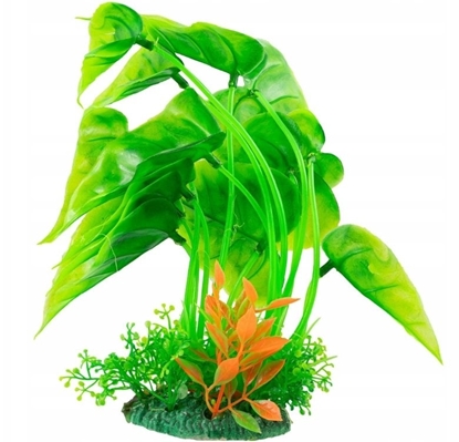 Изображение Aqua Natura,  rolina, do dekoracji akwarium, zielona, plastikowa, 15-20cm, kompozycja wodna