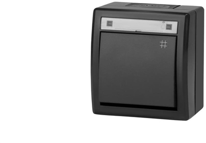 Изображение AQUANT 2K cznik natynkowy krzyowy IP55 antracytowy 5006-17