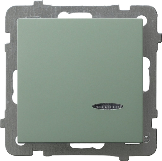 Picture of AS cznik jednobiegunowy z podwietleniem niebieskim zielony mat P-1GS/m/84