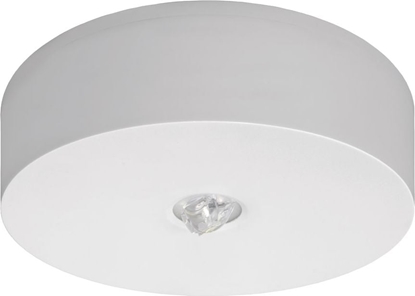 Picture of AWEX Oprawa awaryjna AXN IP65 ECO LED 3W 310lm (opt. univesal) 1h jednozadaniowa biaa AXNU/3W/ESE/X/WH - AXNU/3W/ESE/X/WH