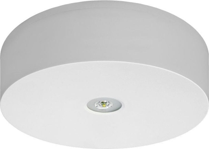 Picture of AWEX Oprawa awaryjna AXN IP65 ECO LED 3W 310lm 1h jednozadaniowa biaa (AXNO/3W/ESE/X/WH)