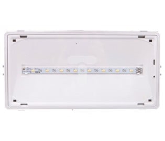 Picture of AWEX Oprawa awaryjna EXIT IP65 1W 3h dwuzadaniowa biaa ETE/1W/CSA/X/WH - ETE/1W/CSA/X/WH