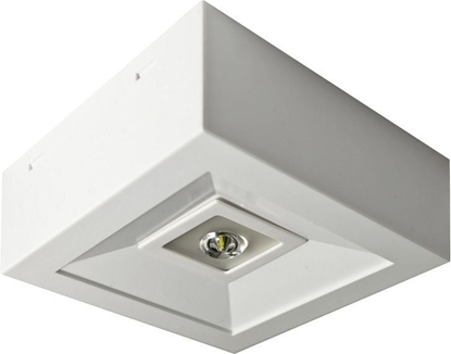 Picture of AWEX Oprawa awaryjna LED 3W 1h LOVATO N ECO LED 3W (opt. otwarta) jednozadaniowa biaa LVNO/3W/ESE/X/WH - LVNO/3W/ESE/X/WH
