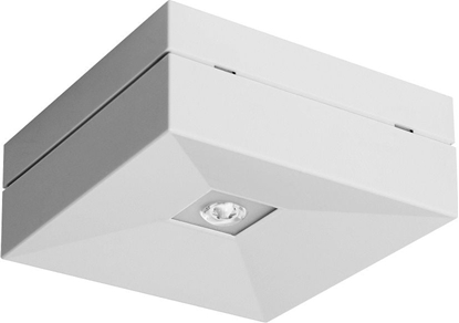 Picture of AWEX Oprawa awaryjna LOVATO N ECO LED 1W 125lm (opt. otwarta) 3h jednozadaniowa biaa LVNO/1W/ESE/AT/WH - LVNO/1W/ESE/AT/WH