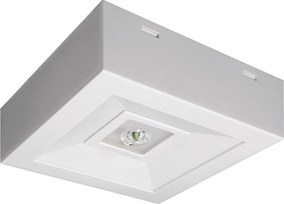Picture of AWEX Oprawa awaryjna LOVATO N ECO LED 3W 315lm (opt. koryt.) 1h jednozadaniowa biaa LVNC/3W/ESE/AT/WH - LVNC/3W/ESE/AT/WH