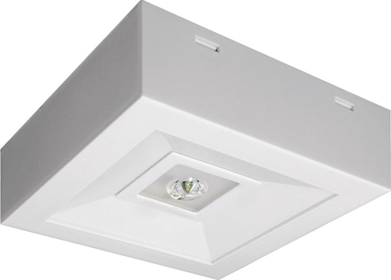 Picture of AWEX Oprawa awaryjna LOVATO N ECO LED 3W 315lm (opt. koryt.) 1h jednozadaniowa biaa LVNC/3W/ESE/AT/WH - LVNC/3W/ESE/AT/WH