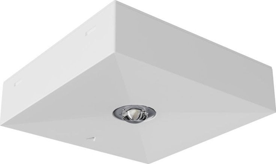 Picture of AWEX Oprawa awaryjna LV3N IP20 LED 1W (opt. otwarta) 1h jednozadaniowa biaa LV3N/O/1W/B/1/SE/X/WH