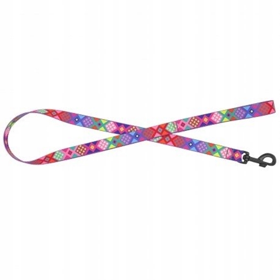 Изображение Barry King Smycz dla psa tama do psa Peru, 25mm/120cm