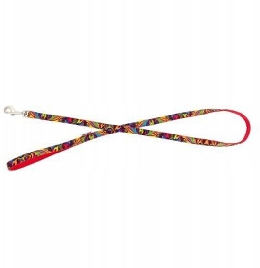 Изображение Barry King Smycz dla psa, czerwona, wzór picassowski, tama polipropylenowa, 25mm/120cm