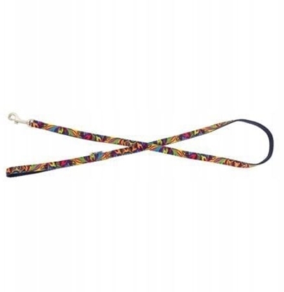 Изображение Barry King Smycz dla psa, granatowy, wzór Picasso, tama polipropylenowa, 16mm/120cm