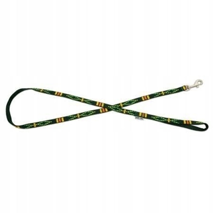Изображение Barry King Smycz dla psa, zielony, wzór etniczny, tama polipropylenowa, 10mm/120cm