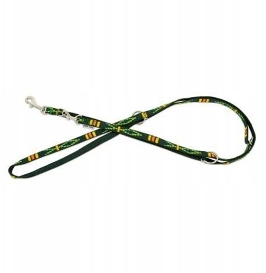 Изображение Barry King Smycz regulowana dla psa, zielony, wzór etniczny, tama polipropylenowa, 20mm/220cm