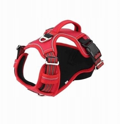 Изображение Barry King Szelki dla psa czerwone materia Oxford S ob.szyi 36-50cm/ob.klatki 36-63cm