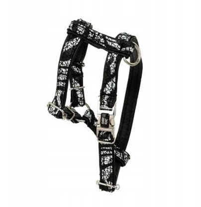 Изображение Barry King Szelki dla psa, Equilibre, Czarny Zebra, skórzany nikiel, XS 13mm/ob. szyi 20-30cm ob. klatki 25-45cm