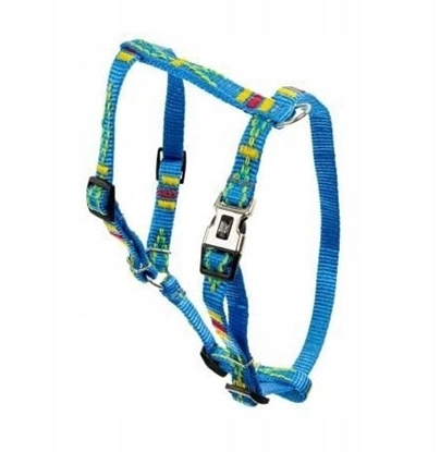 Изображение Barry King Szelki dla psa, etniczny wzór, tama polipropylenowa, 16mm/30-60cm bkitna