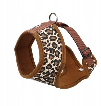 Изображение Barry King Szelki dla psa, leopardowy wzór, XS, ob.szyi 22cm/ob.klatki 29-36cm