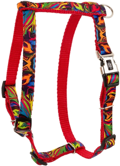 Изображение Barry King Szelki dla psa, wzór Picasso, tama polipropylenowa, 10mm/25-40cm czerwone