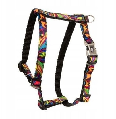 Изображение Barry King Szelki dla psa, wzór Picasso, tama polipropylenowa, 20mm/50-80cm czarne