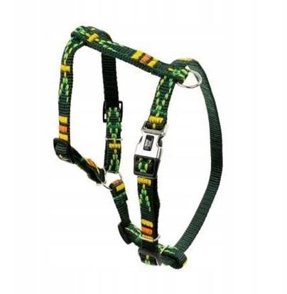 Изображение Barry King Szelki dla psa, zielony, wzór etniczny, tama polipropylenowa, 20mm/50-80cm