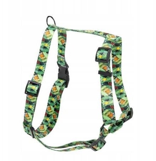 Изображение Barry King Szelki tamowe dla psa Tropical, 25mm/60-100cm