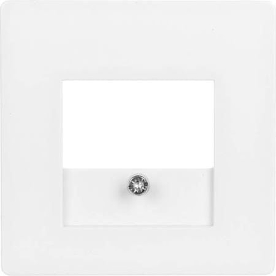 Picture of Berker Berker Q.1 Element centralny do gniazda TAE i gonikowego nienobiay (10336089)