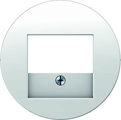 Picture of Berker Berker R.1/R.3 Element centralny do gniazda TAE i gonikowego biay (10382089)