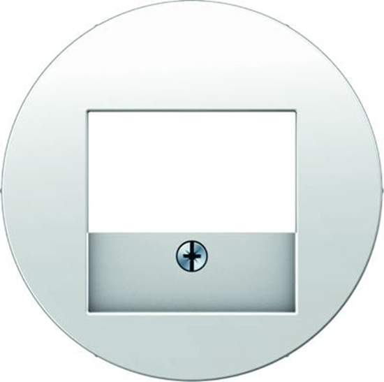 Picture of Berker Berker R.1/R.3 Element centralny do gniazda TAE i gonikowego biay (10382089)