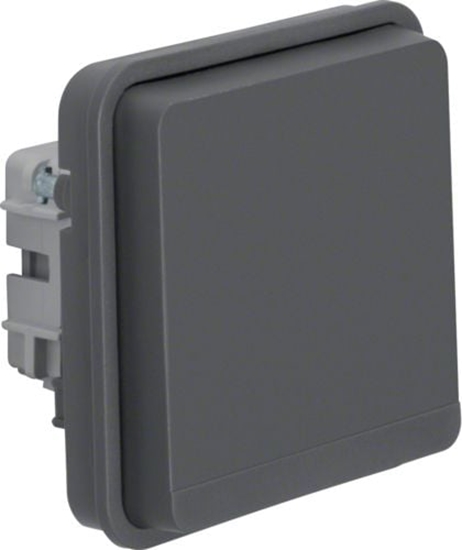 Picture of Berker Gniazdo pojedyncze W.1 z/u modu IP55 szary (6768803515)