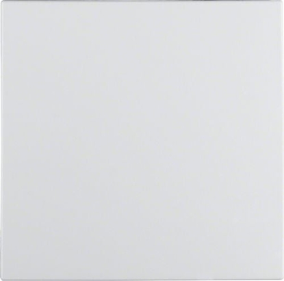 Picture of Berker Klawisz 1-biegunowy przycisk 1x biay tworzywo (16201909)