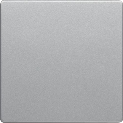 Picture of Berker Klawisz do cznika 1-klawiszowego Q.1/Q.3 alu aksamit lakierowany (16206084)