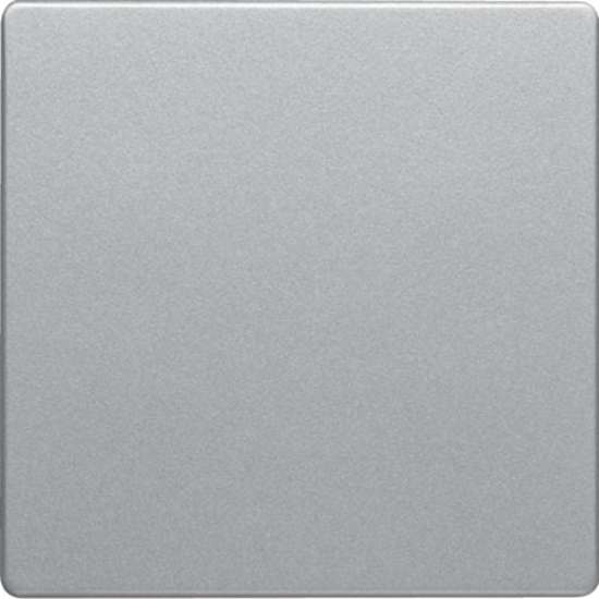 Picture of Berker Klawisz do cznika 1-klawiszowego Q.1/Q.3 alu aksamit lakierowany (16206084)