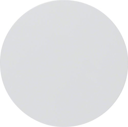 Picture of Berker Klawisz do cznika R.1/R.3 biay (16202089)