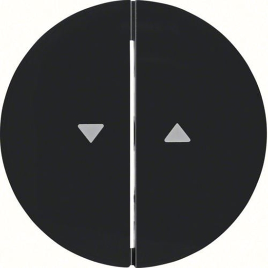 Picture of Berker Klawisz podwójny z symbolem strzaka R.1/R.3 czarny (16252045)