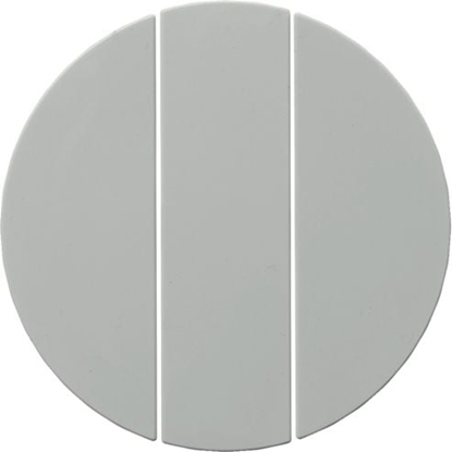 Picture of Berker Klawisz potrójny do cznika R.1/R.3 biay (16652089)