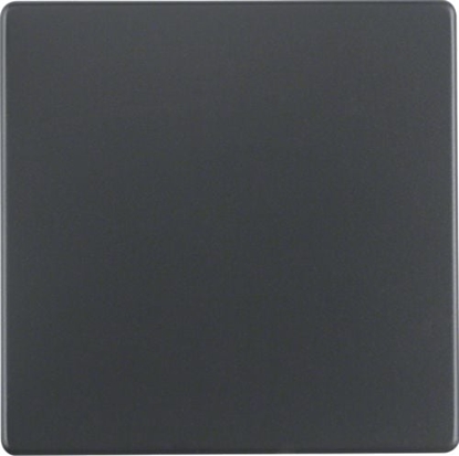 Picture of Berker Klawisz Q.1/Q.3 antracyt/ aksamit (16206086)