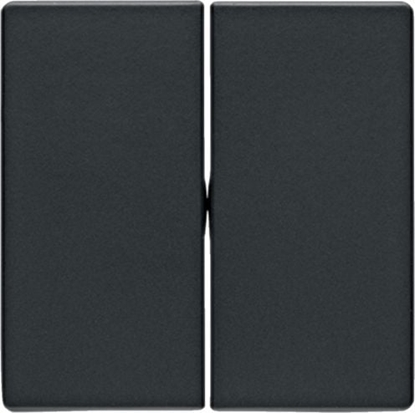 Picture of Berker Klawisze podwójne Antracyt (16236086)