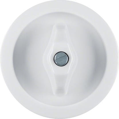 Picture of Berker Plakietka do cznika obrotowego 1930 GLASSERIE PALAZZO nienobiaa (1647)