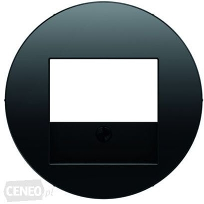 Picture of Berker R.1/R.3 Element centralny do gniazda TAE i gonikowego czarny (10382045)