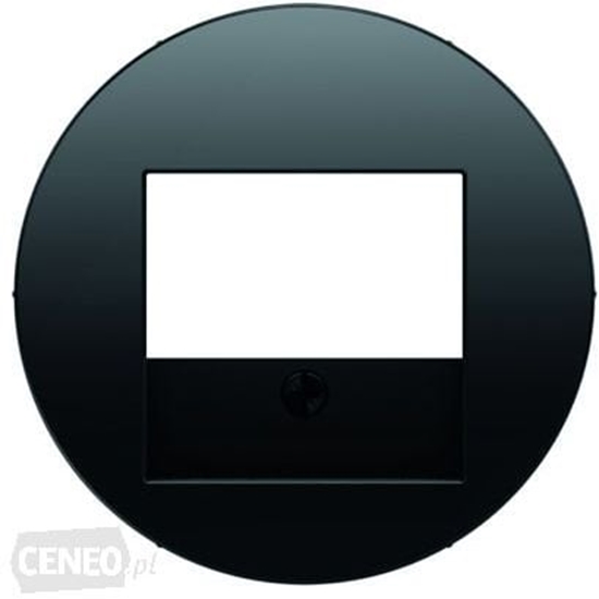 Picture of Berker R.1/R.3 Element centralny do gniazda TAE i gonikowego czarny (10382045)