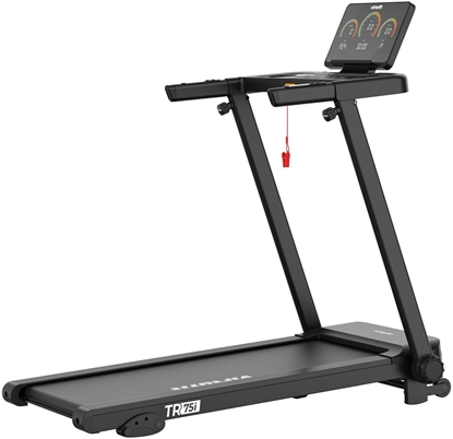 Attēls no Bienia Virtufit BIENIA ELEKTRYCZNA TR75i