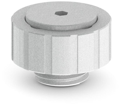 Picture of BitsPower rczny wylot powietrza AG - srebrny piaskowany G1/4 Zoll